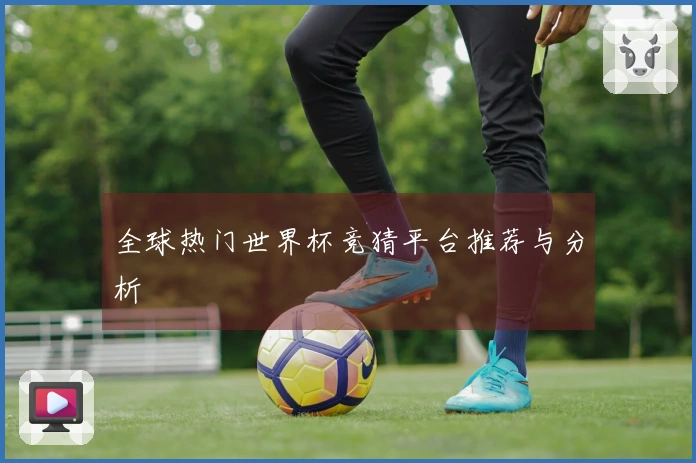 全球热门世界杯竞猜平台推荐与分析