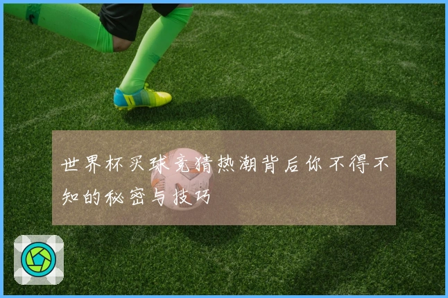 世界杯买球竞猜热潮背后你不得不知的秘密与技巧
