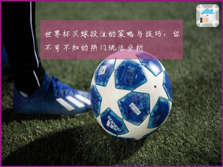 世界杯买球投注的策略与技巧，你不可不知的热门玩法分析