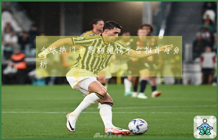 全球热门世界杯竞猜平台推荐与分析
