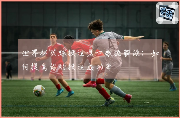 世界杯买球投注盘口数据解读：如何提高你的投注成功率
