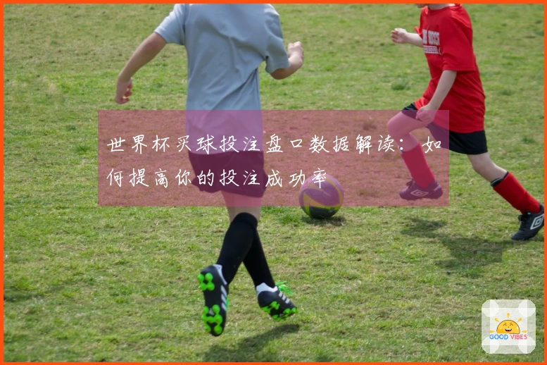 世界杯买球投注盘口数据解读：如何提高你的投注成功率